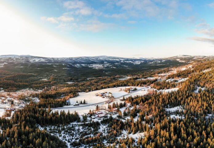 Bucovina