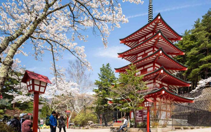 Vacanta Japonia