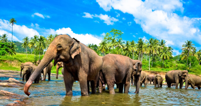 Sri Lanka